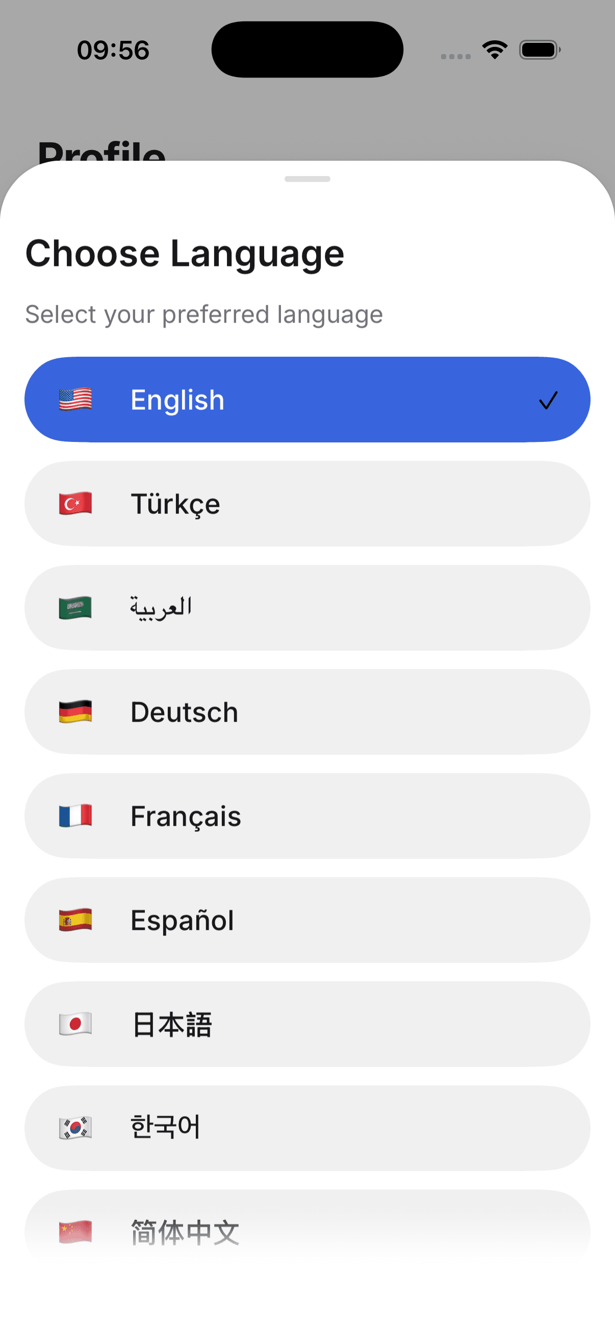 Language picker sheet listing English, Turkish, Arabic, German and more